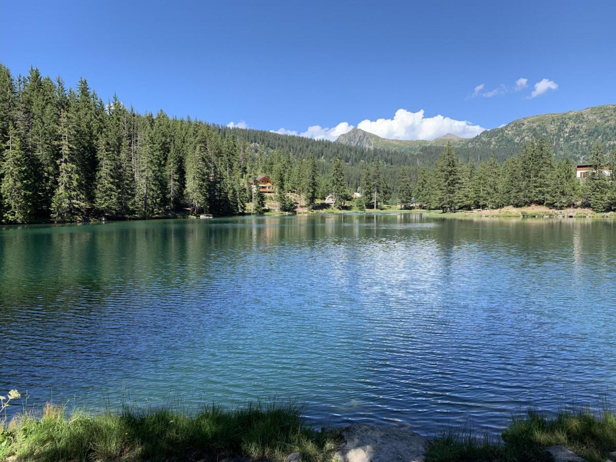 Le Jardin Alpin Villa Vaujany Esterno foto